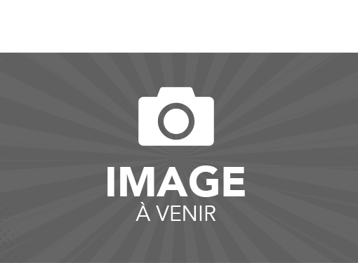 Image à venir