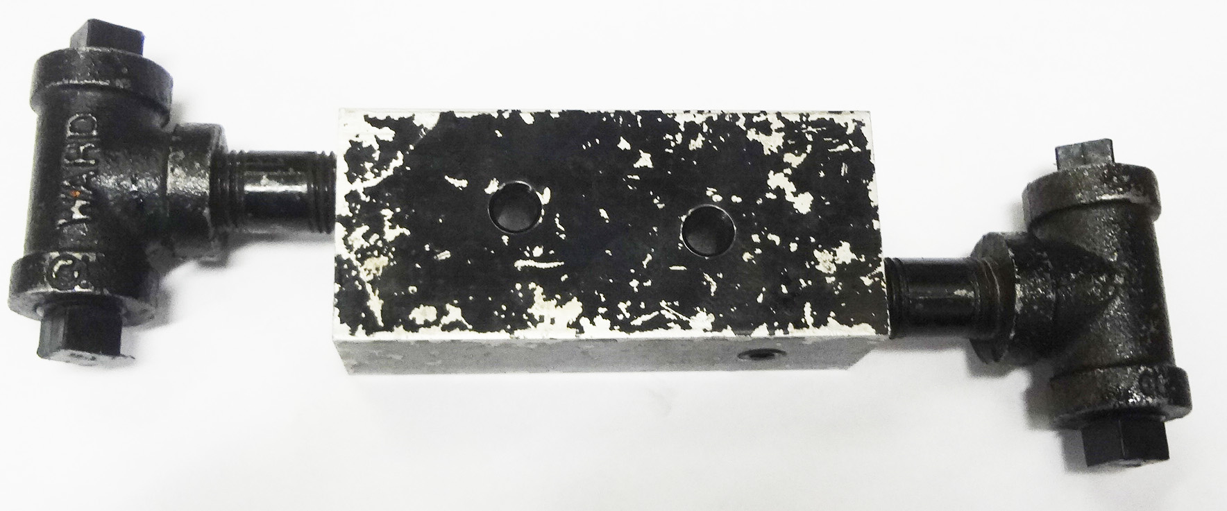 FP0081
